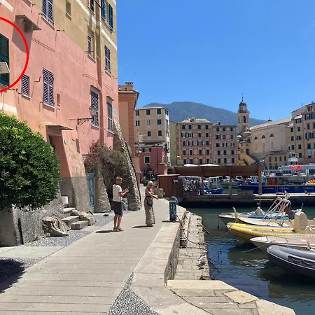 Il Nero *